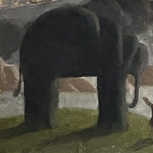 Elephant
