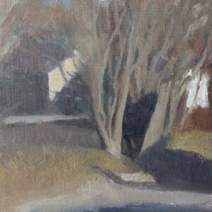 A Tree in Newtonmore