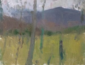 Highlands - through trees