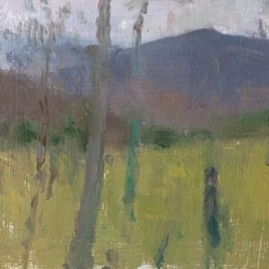 Highlands - through trees