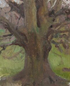 Tree in Hampstead Heath