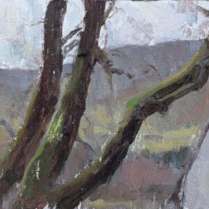 Trees in Laggan