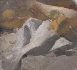 Lemon with Cloth