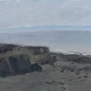 Sea at Cardiff