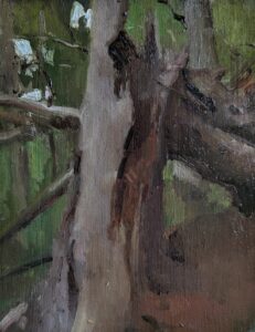 Ripped Tree