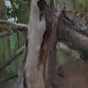 Ripped Tree