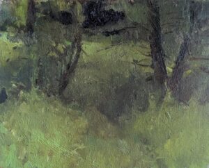 Woods in Connecticut