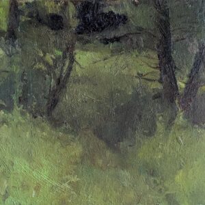 Woods in Connecticut