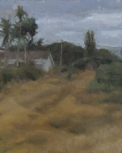 Grassy Path