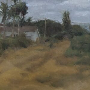 Grassy Path
