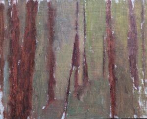 Impression of Redwoods