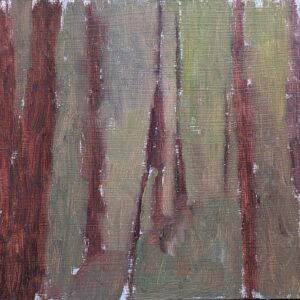 Impression of Redwoods
